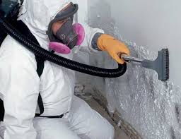 Reliable Dryden, MI Mold Inspection Solutions